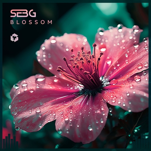 Seb-G - Blossom [TGNR140]